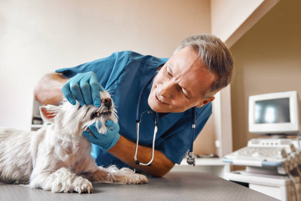 Same-Day Emergency Appointments